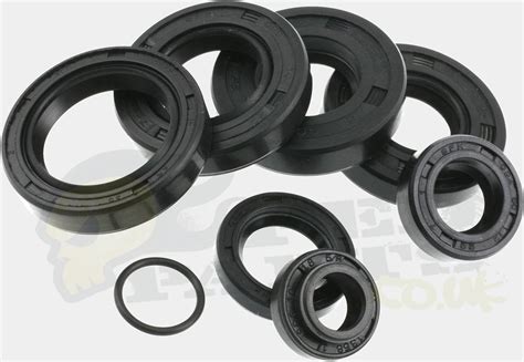 oil seals for motors